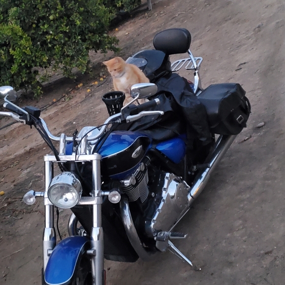 Meet your Posher, Gerardo - Picture 2 of 2